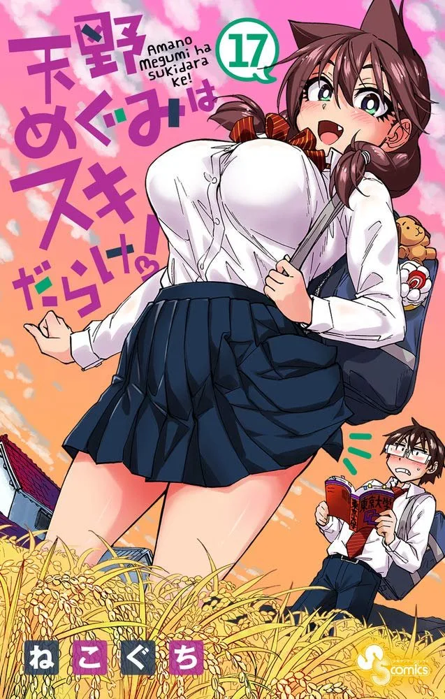 Volume 17