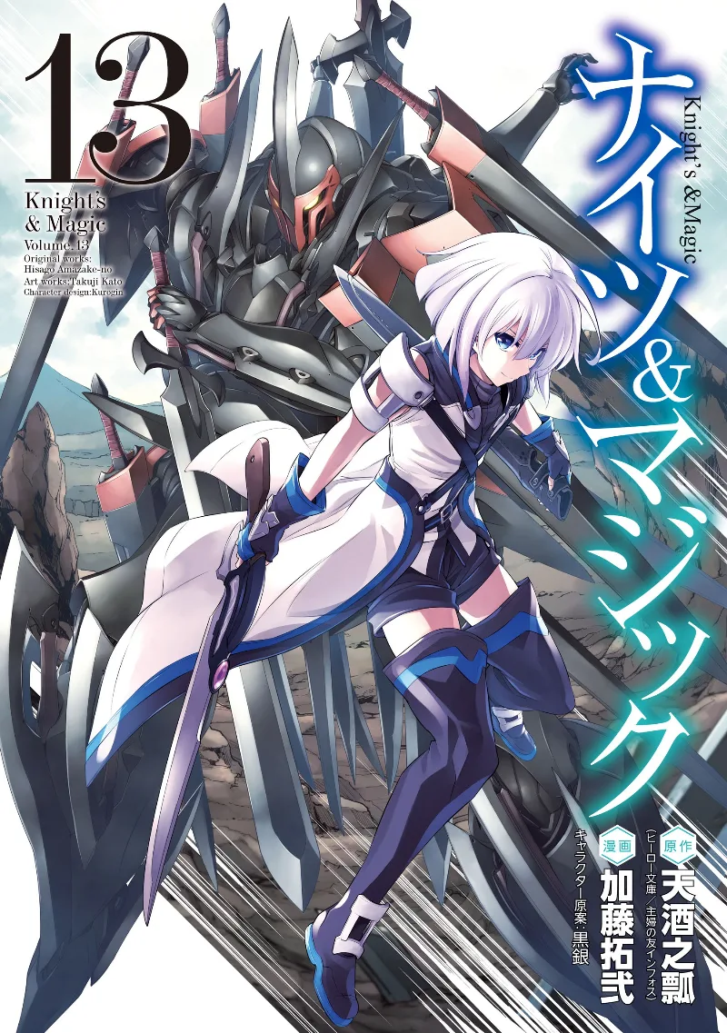 Volume 13