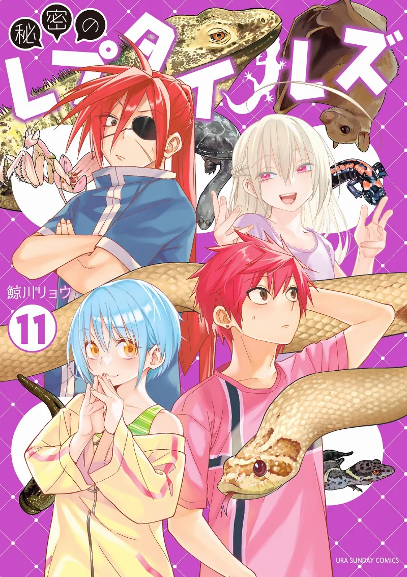 Volume 11