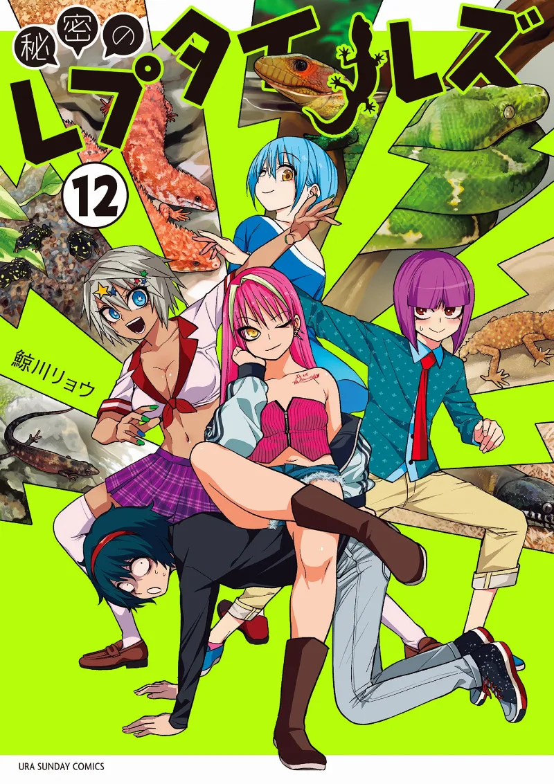 Volume 12