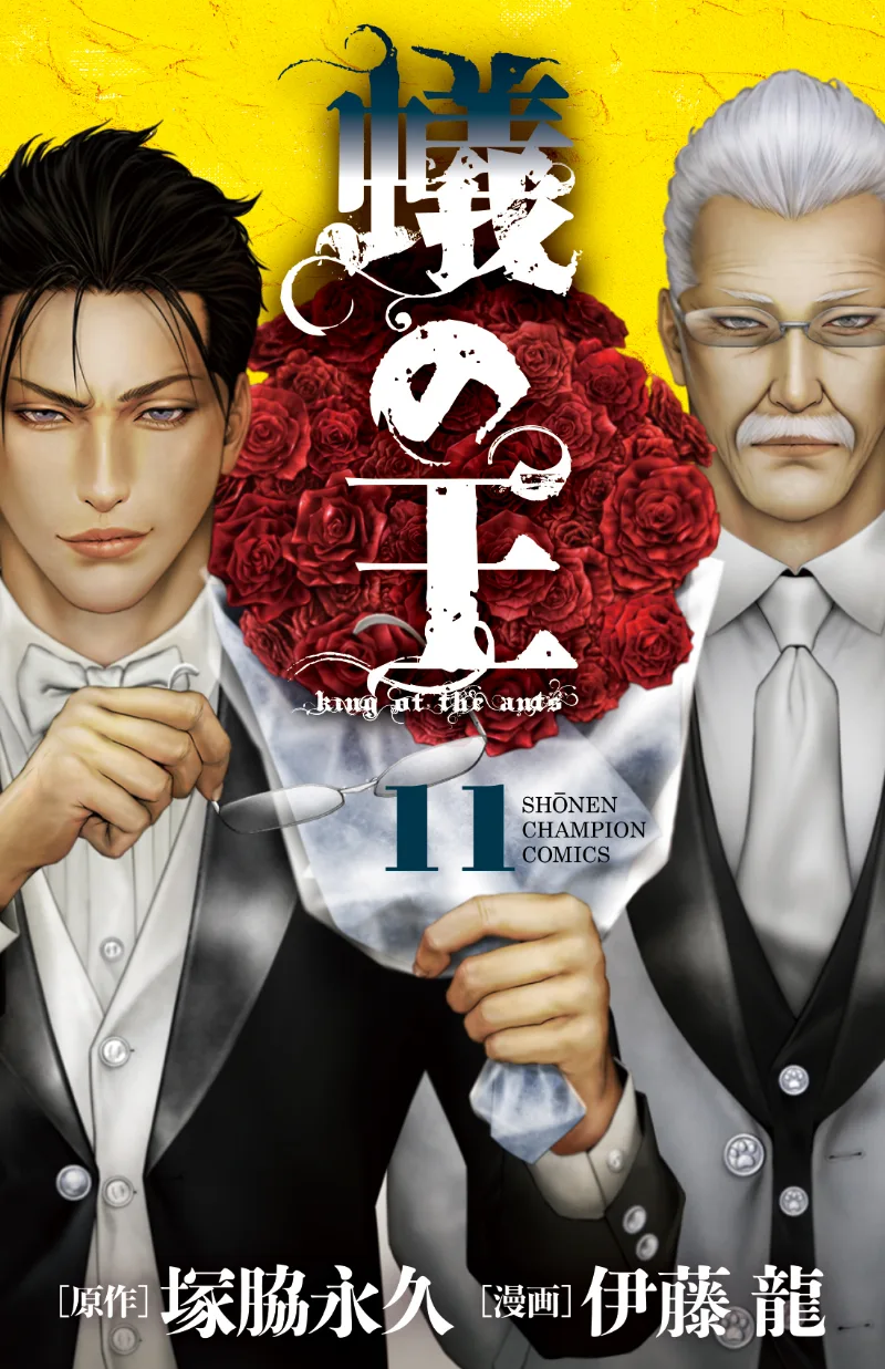 Volume 11