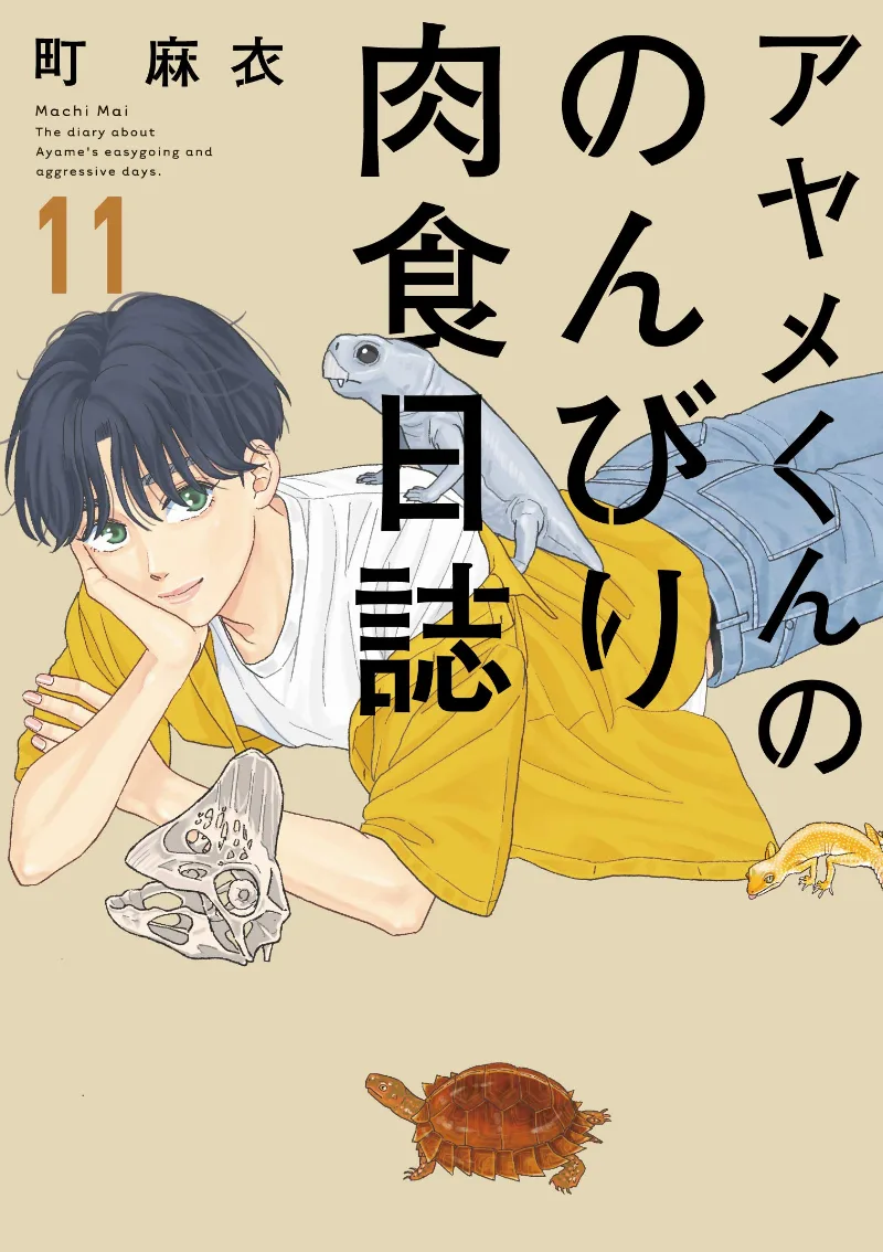 Volume 11