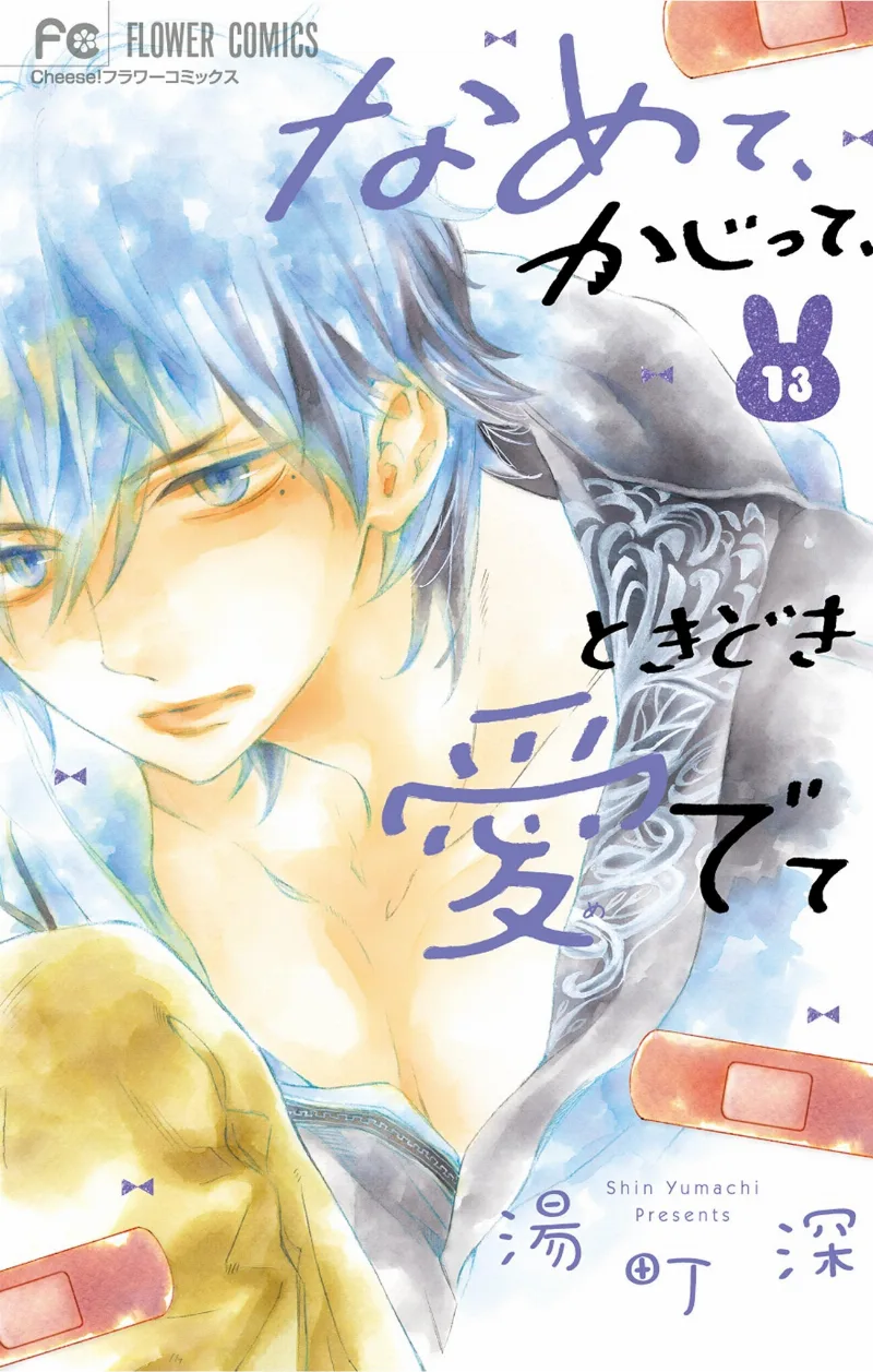 Volume 13