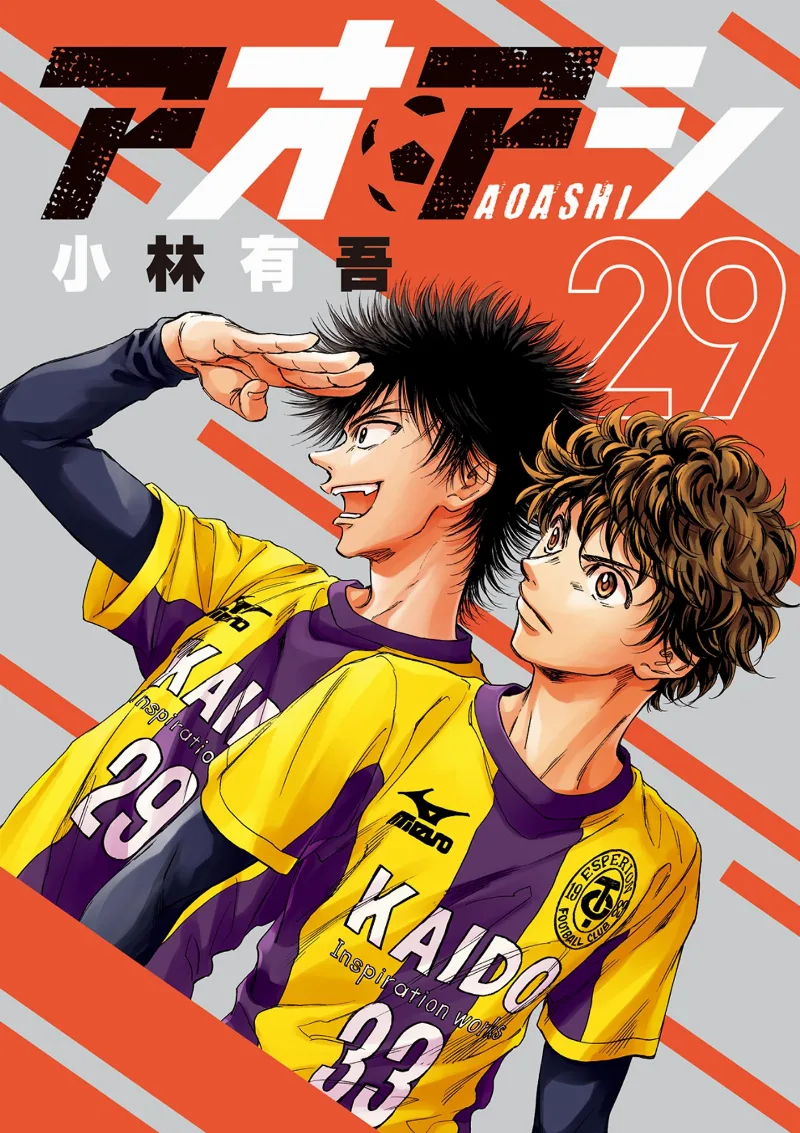 Volume 29