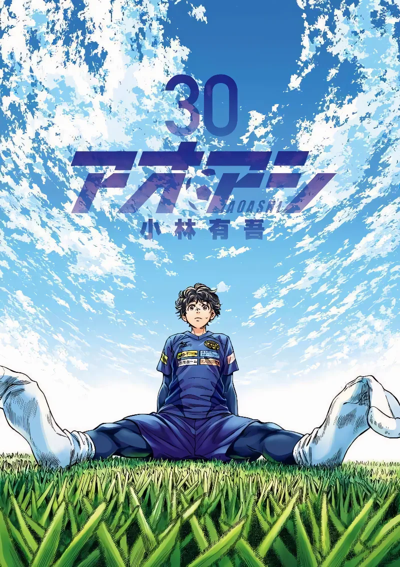 Volume 30