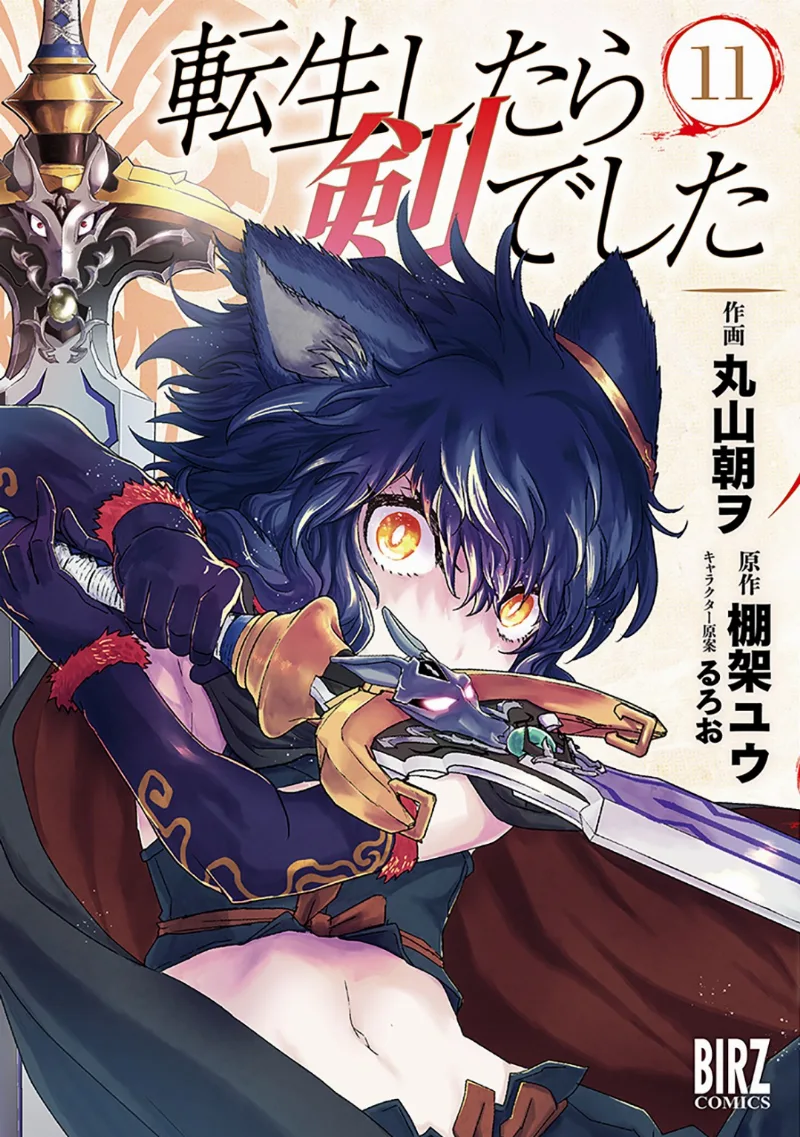 Volume 11