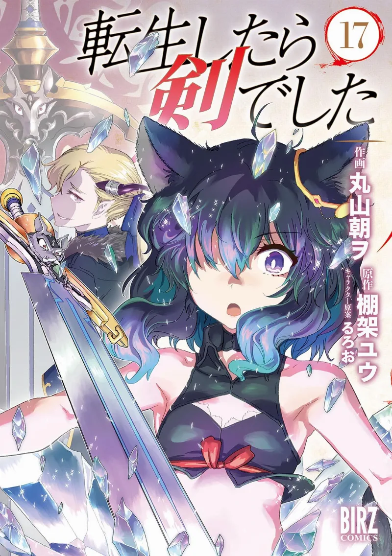 Volume 17
