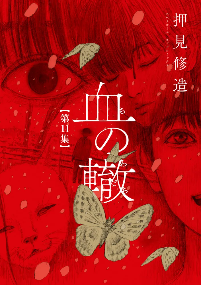 Volume 11