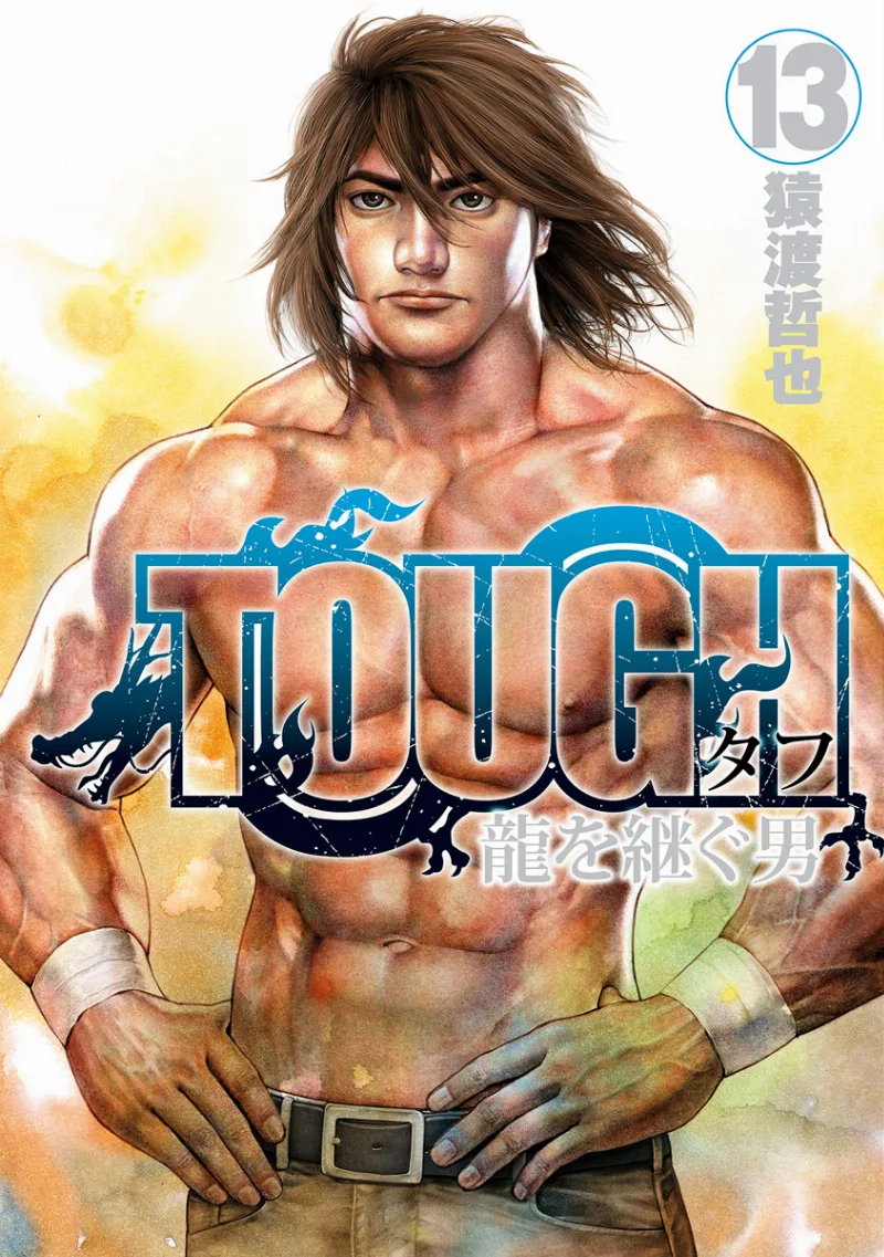 Volume 13