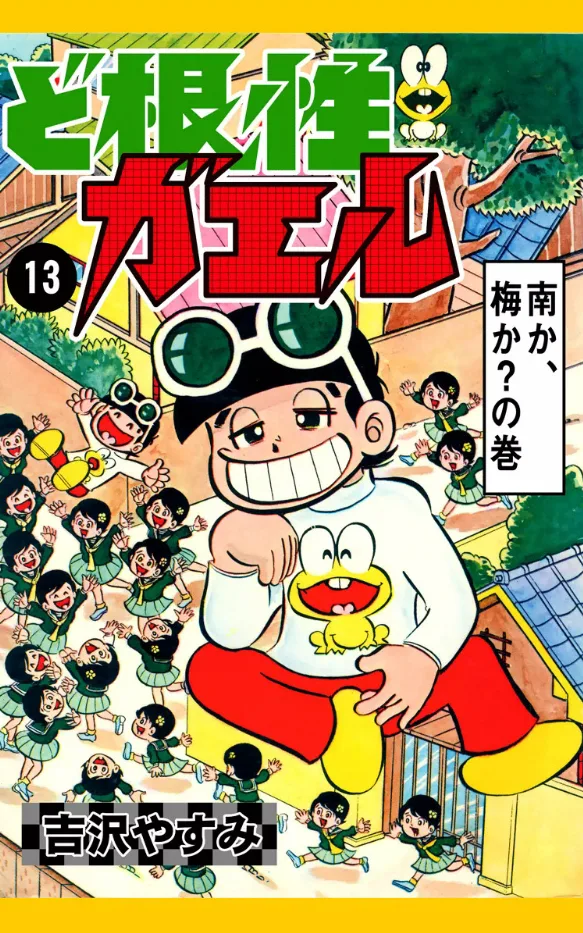Volume 13