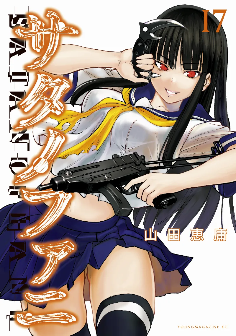 Volume 17