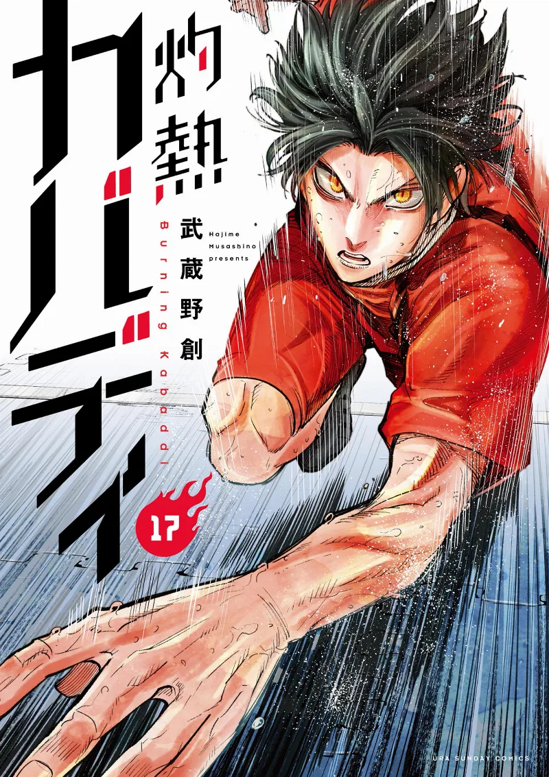 Volume 17
