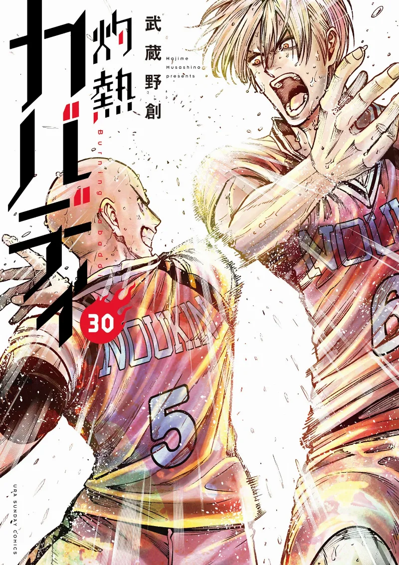 Volume 30