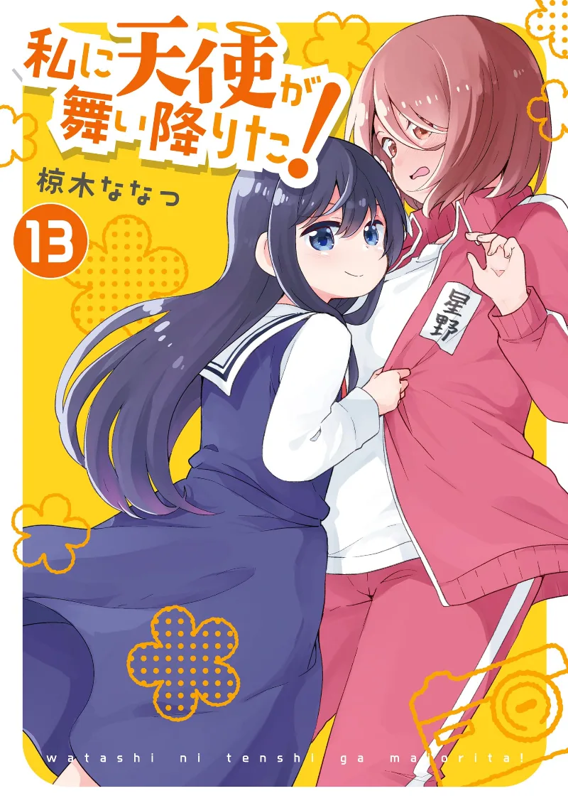 Volume 13