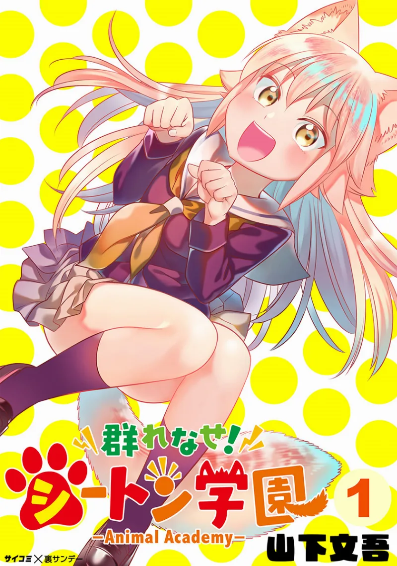 Volume 07
