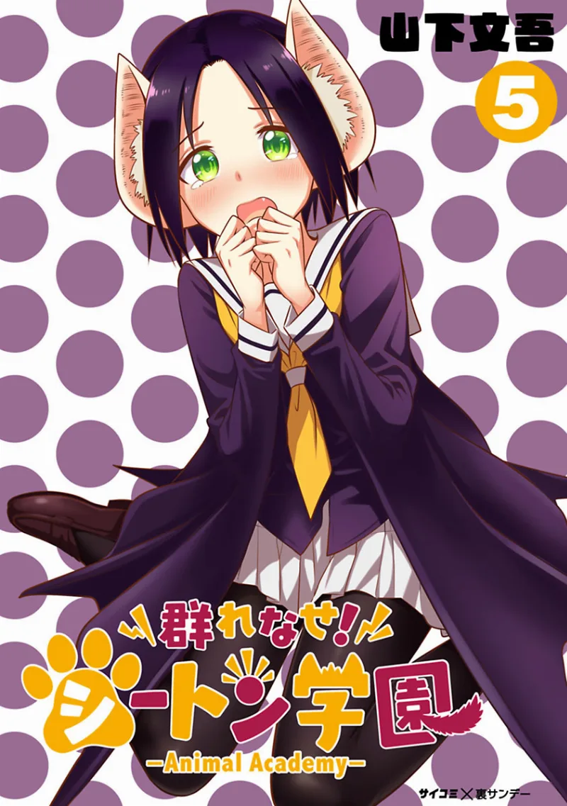 Volume 11