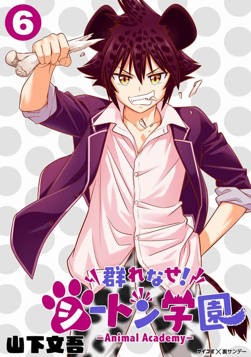 Volume 12