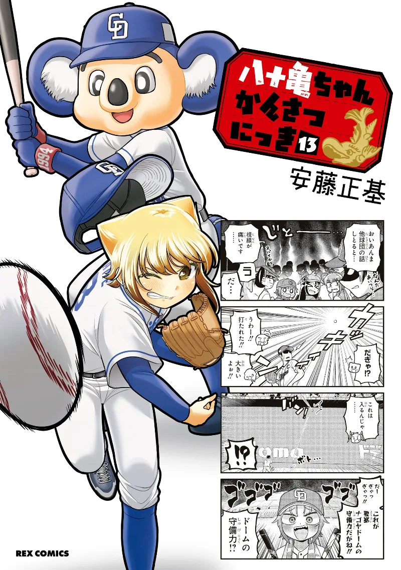Volume 13