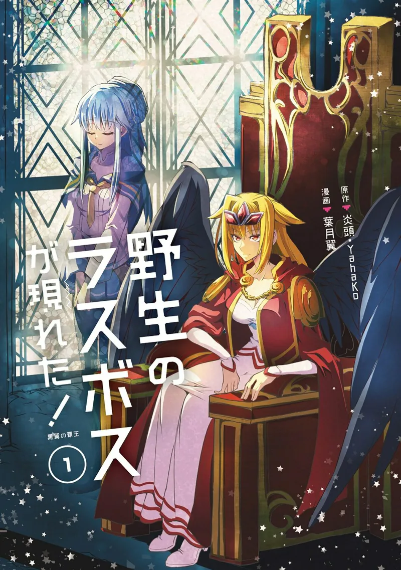 Volume 01.1