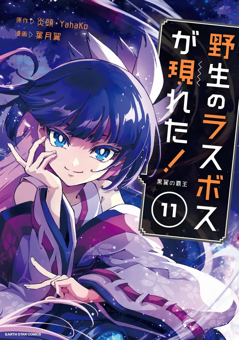 Volume 11