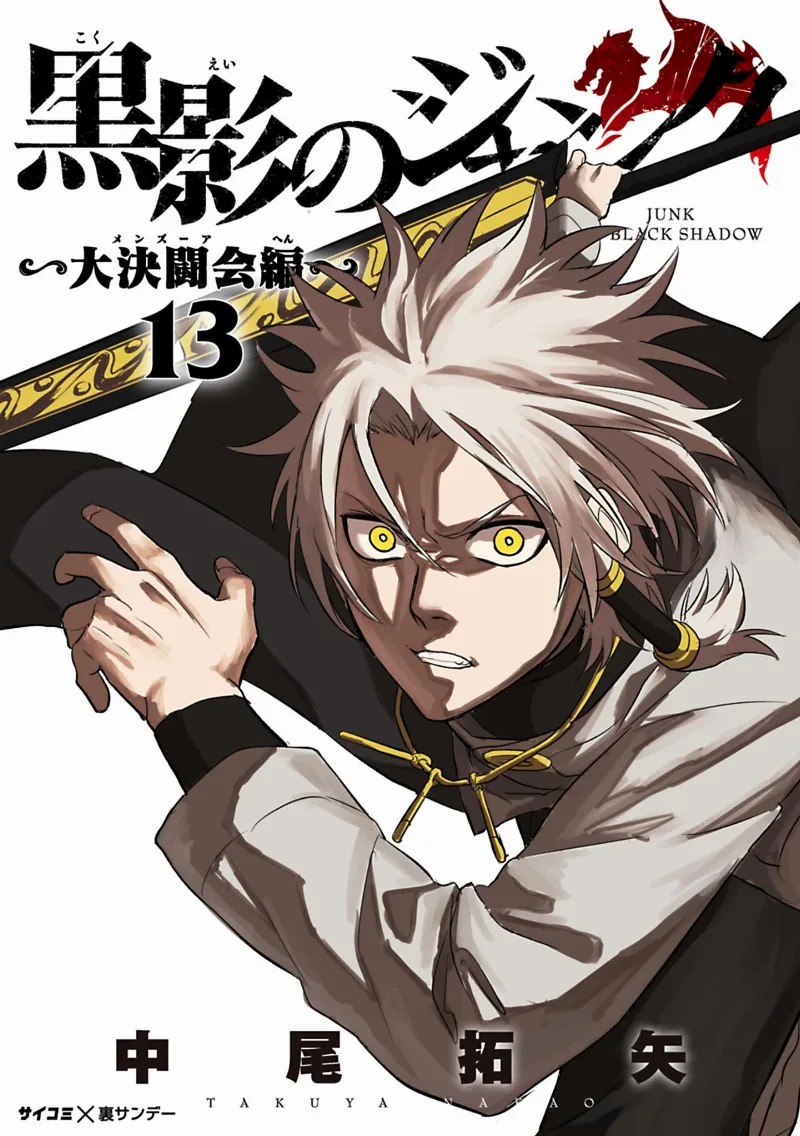 Volume 13