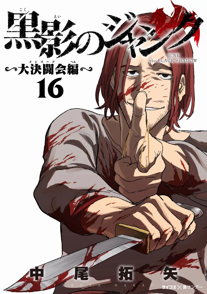 Volume 16