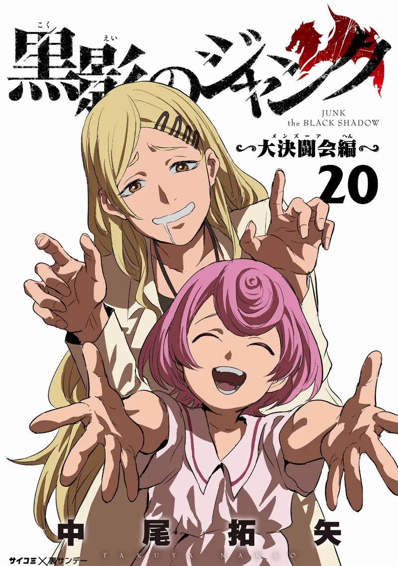 Volume 20