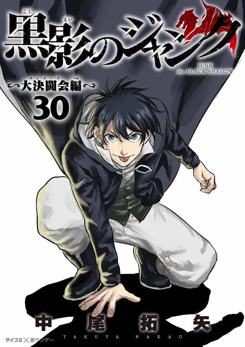 Volume 30