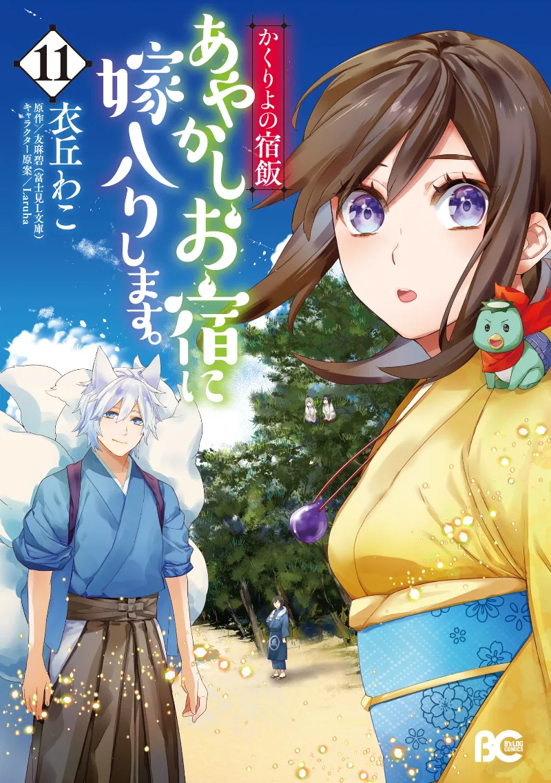 Volume 11