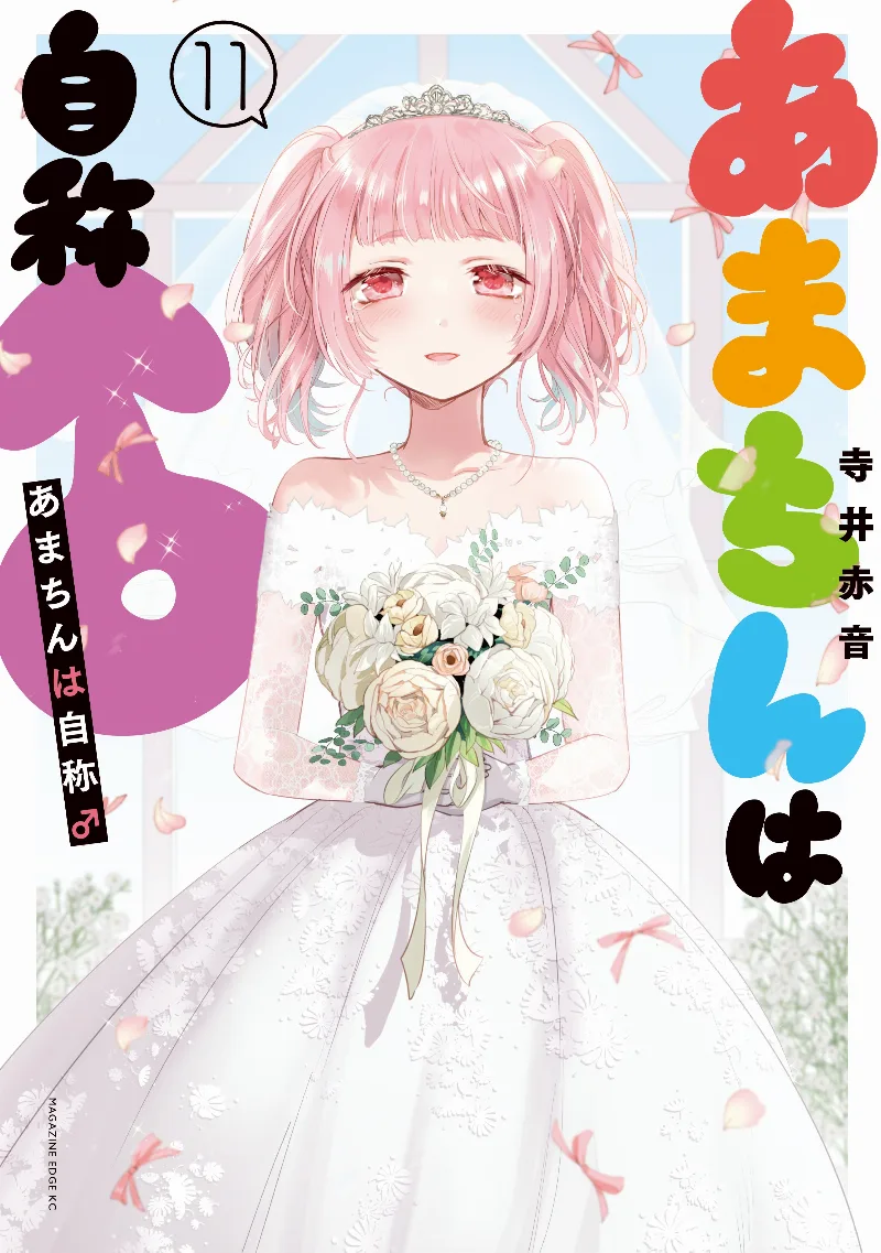 Volume 11