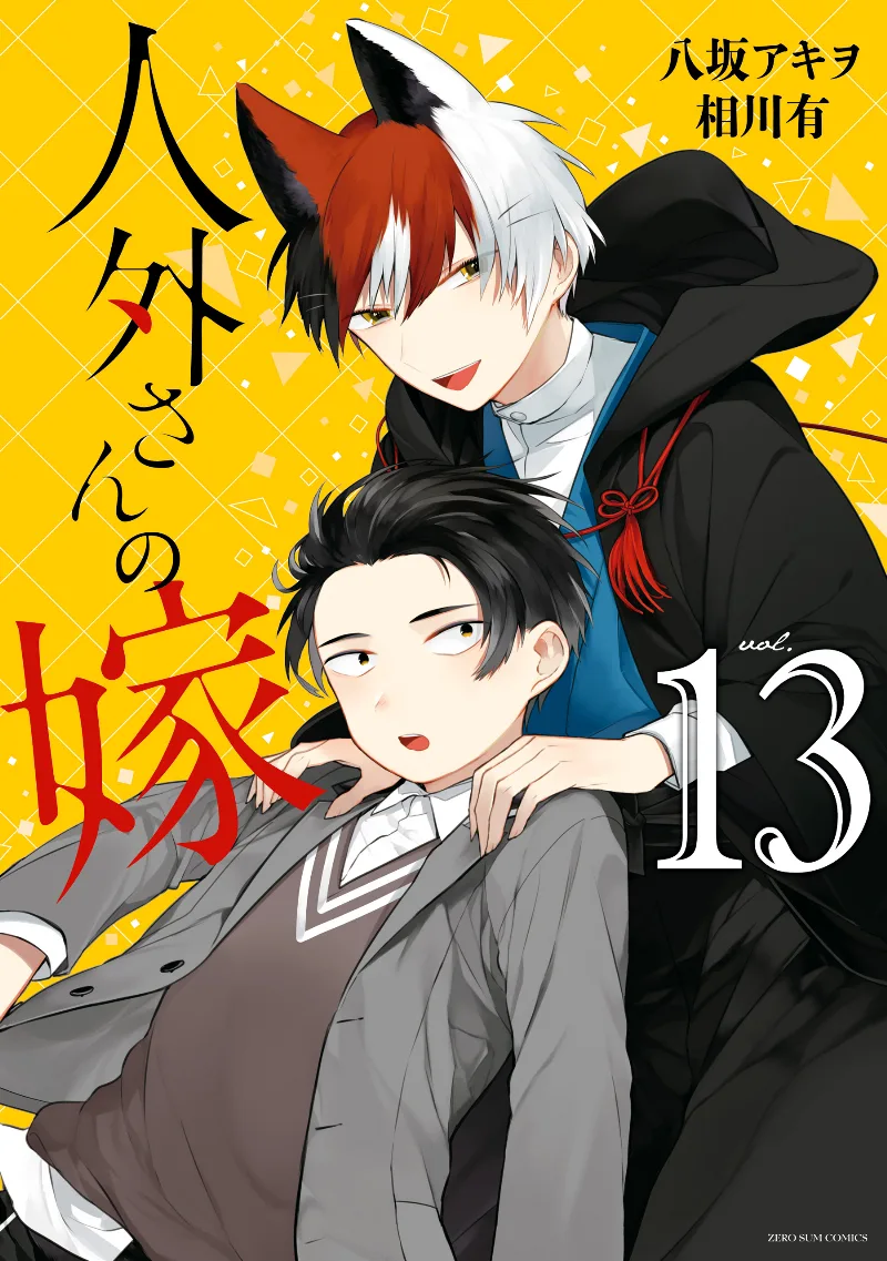 Volume 13