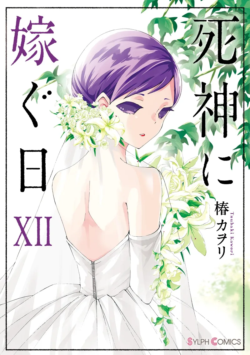 Volume 12