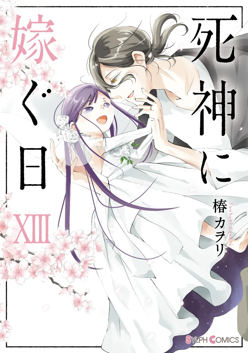 Volume 13
