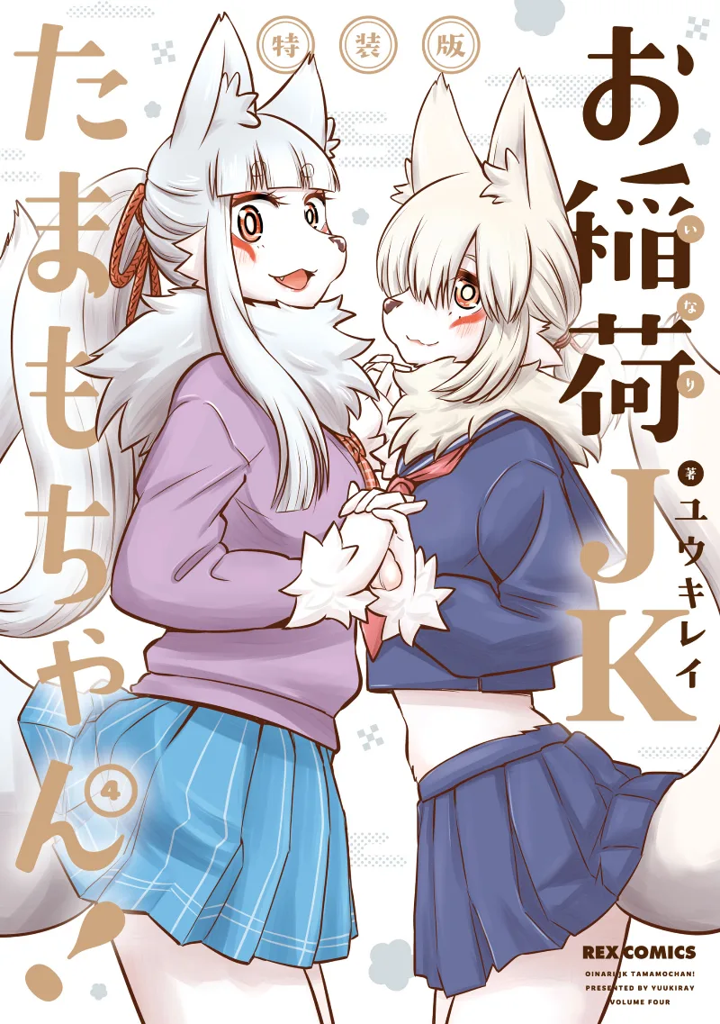 Volume 04.1