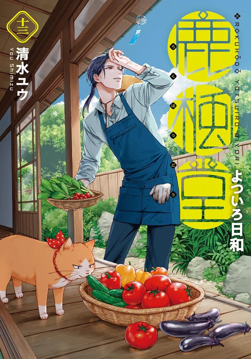 Volume 13