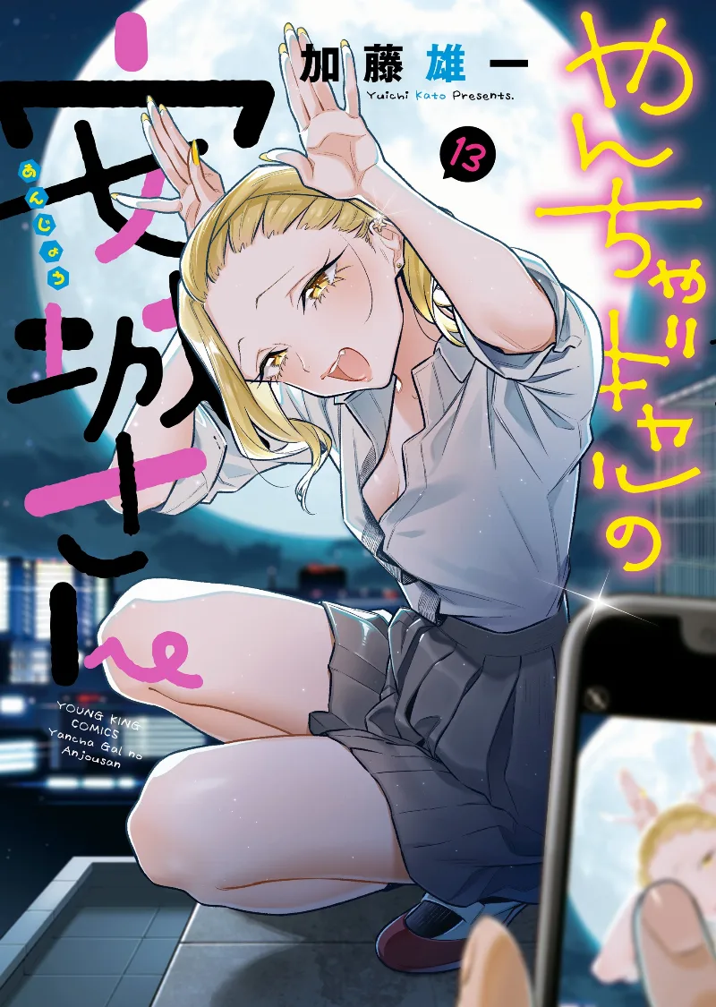 Volume 13