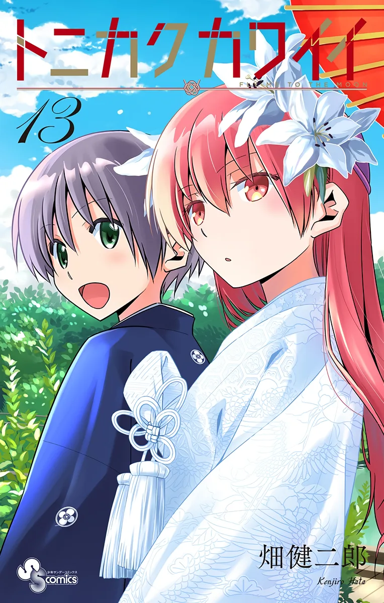 Volume 13