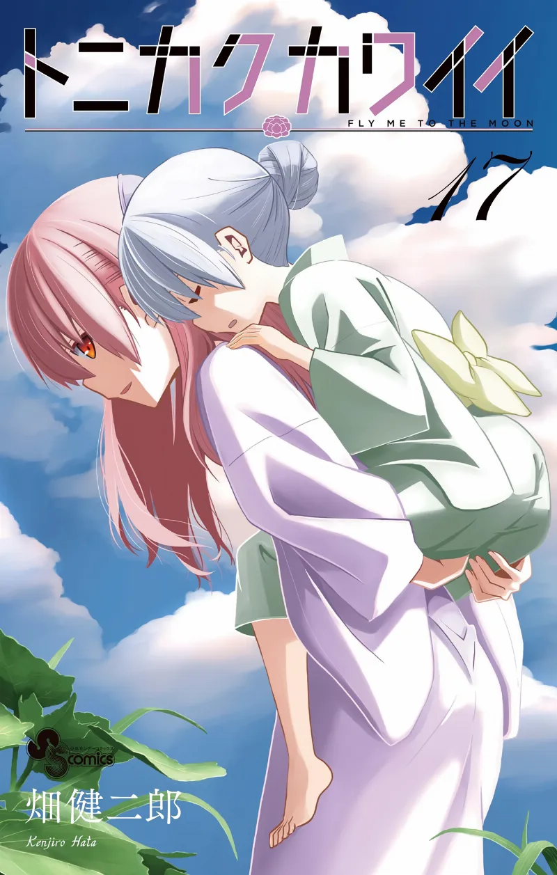 Volume 17