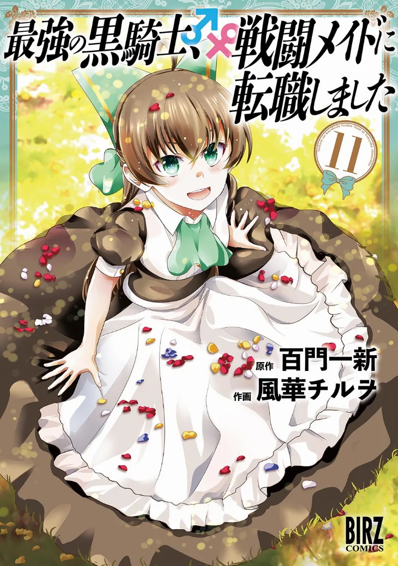 Volume 11