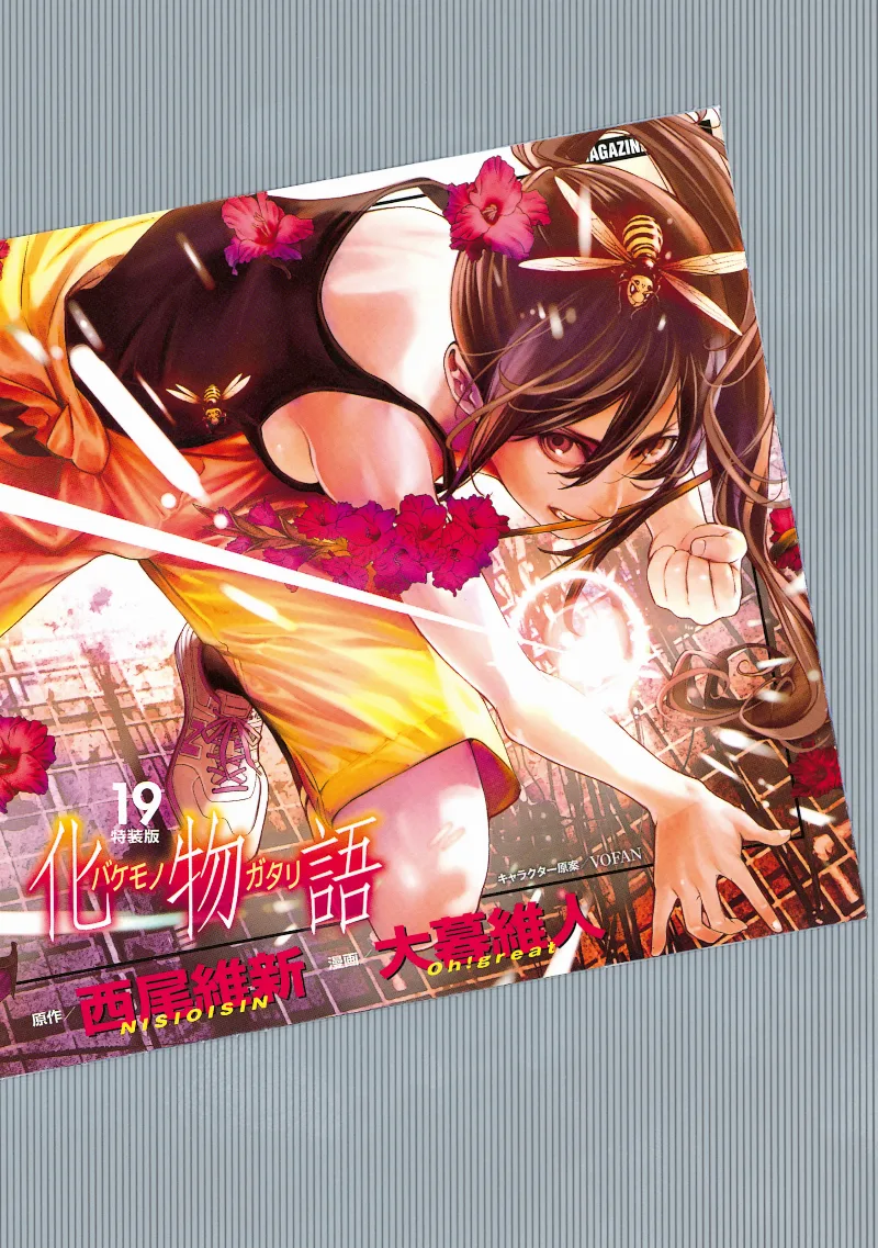 Volume 19.1