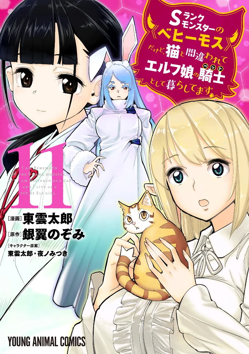 Volume 11