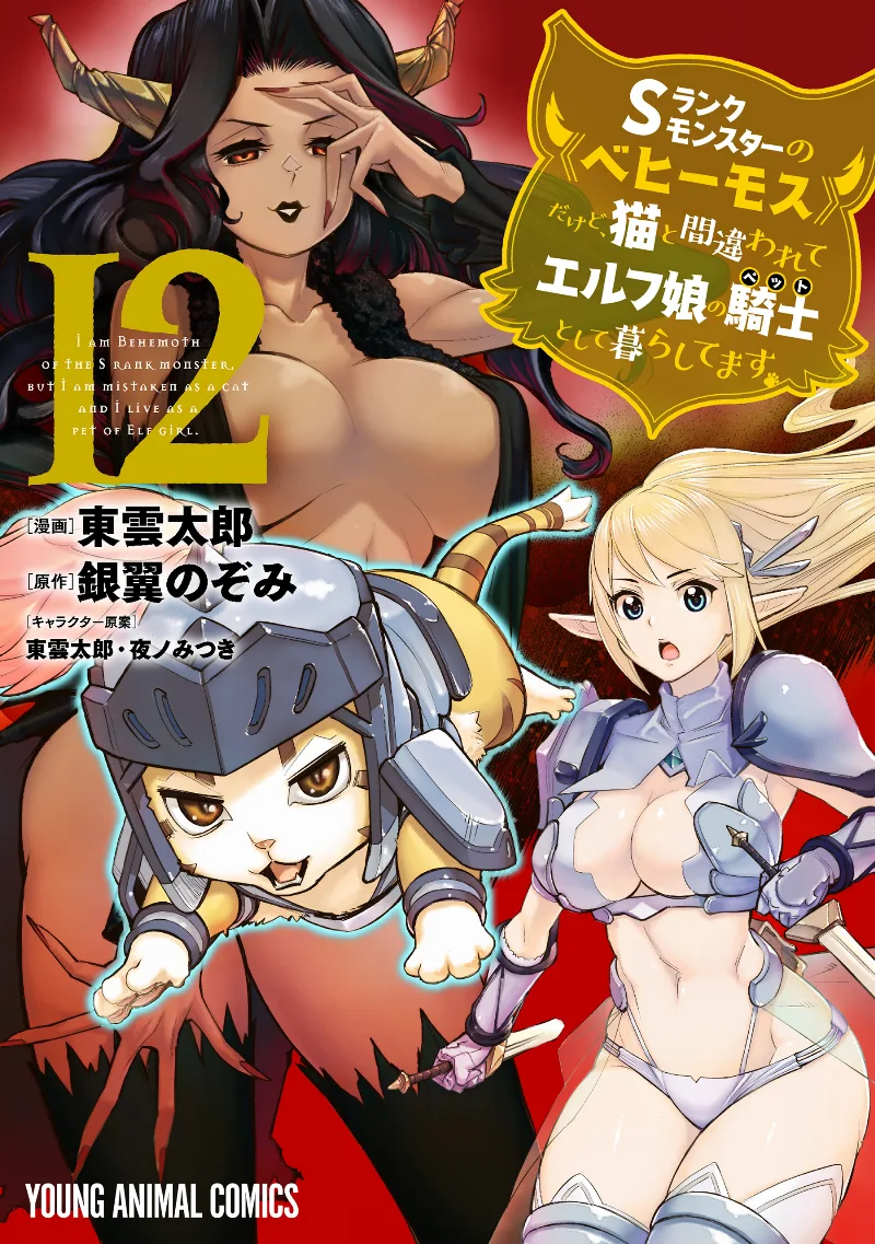 Volume 12