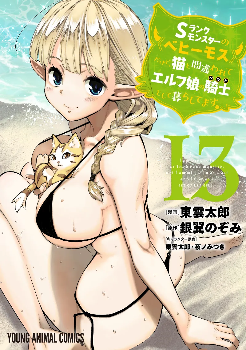 Volume 13