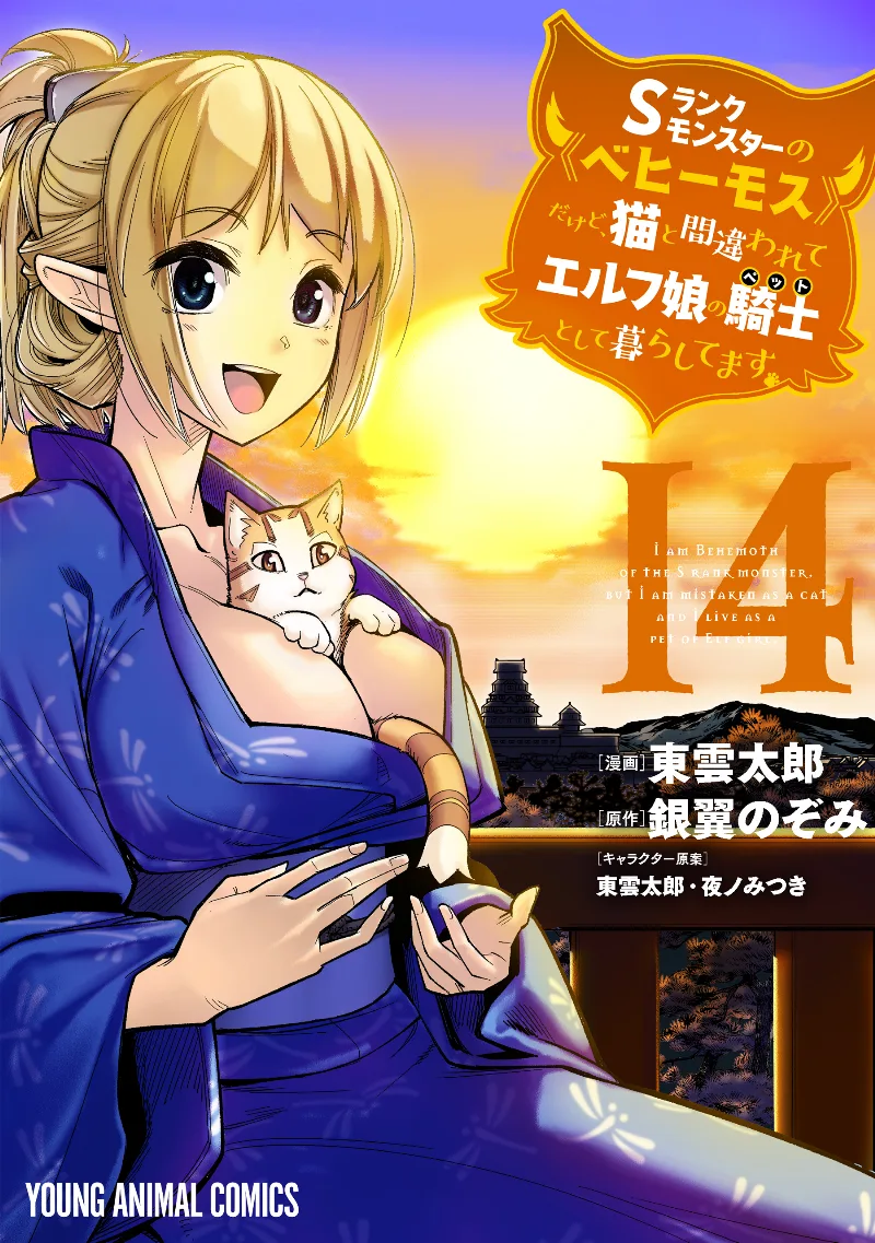 Volume 14