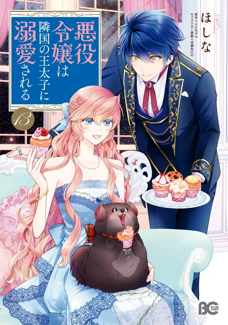 Volume 13