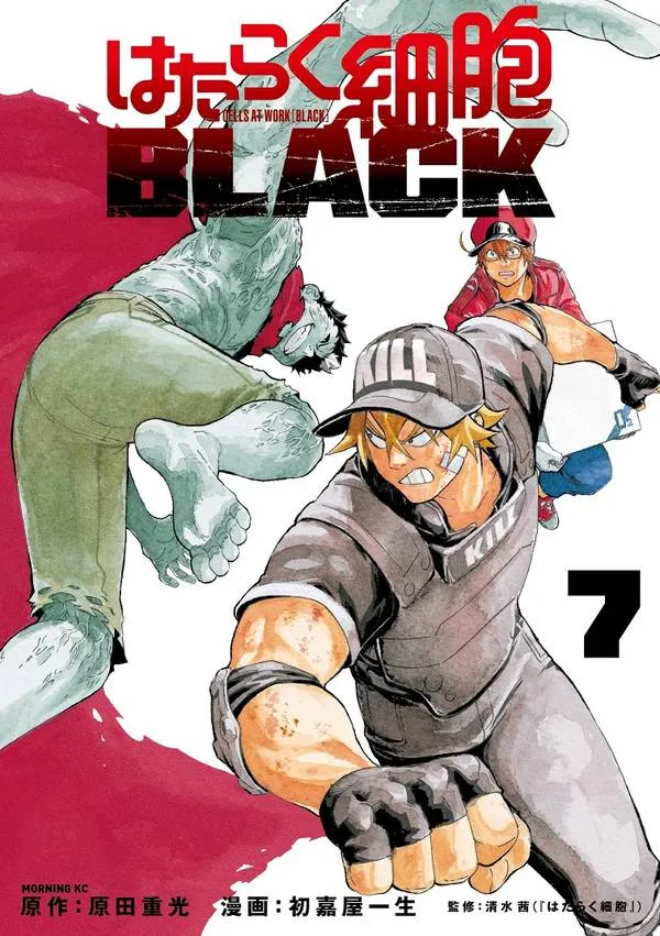 Volume 07