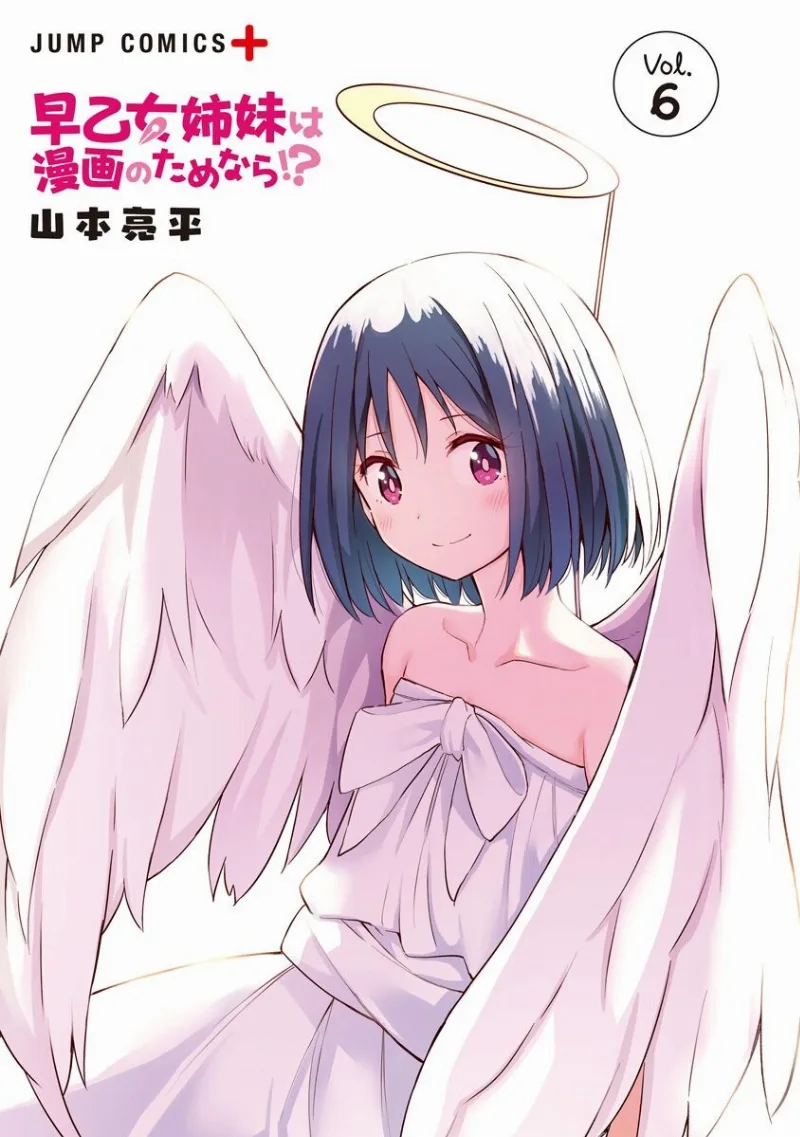 Volume 06.1