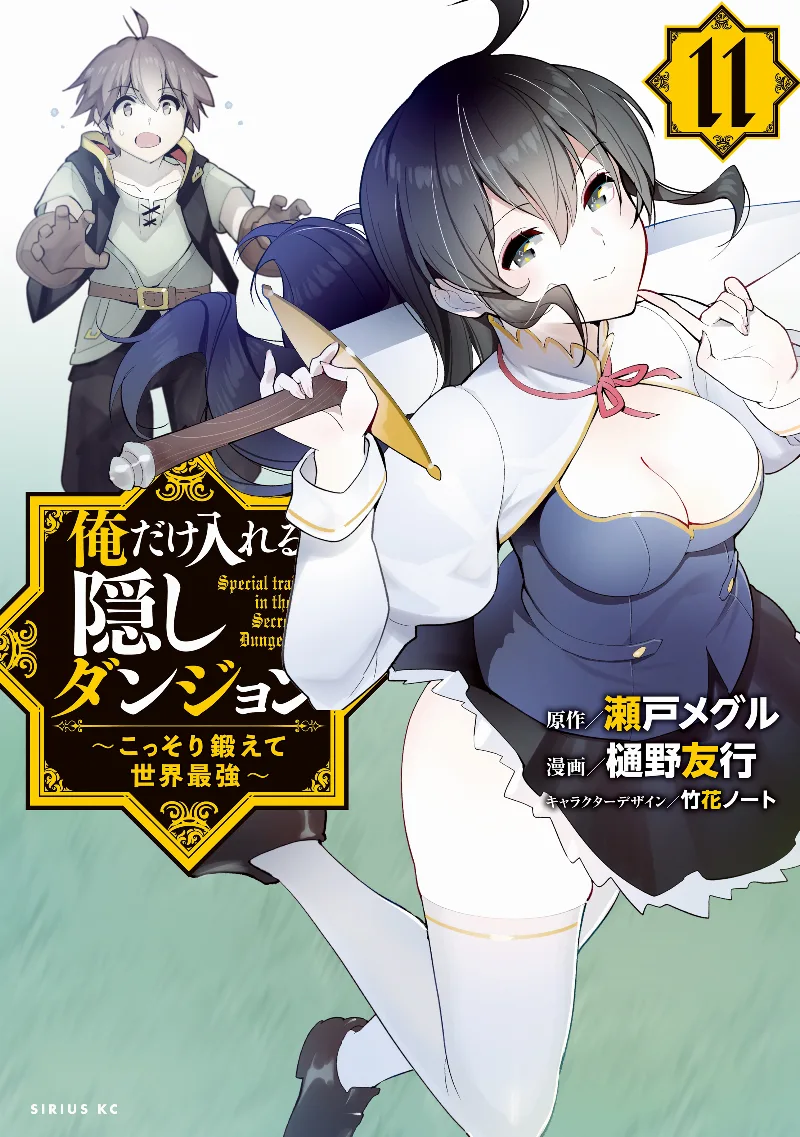 Volume 11