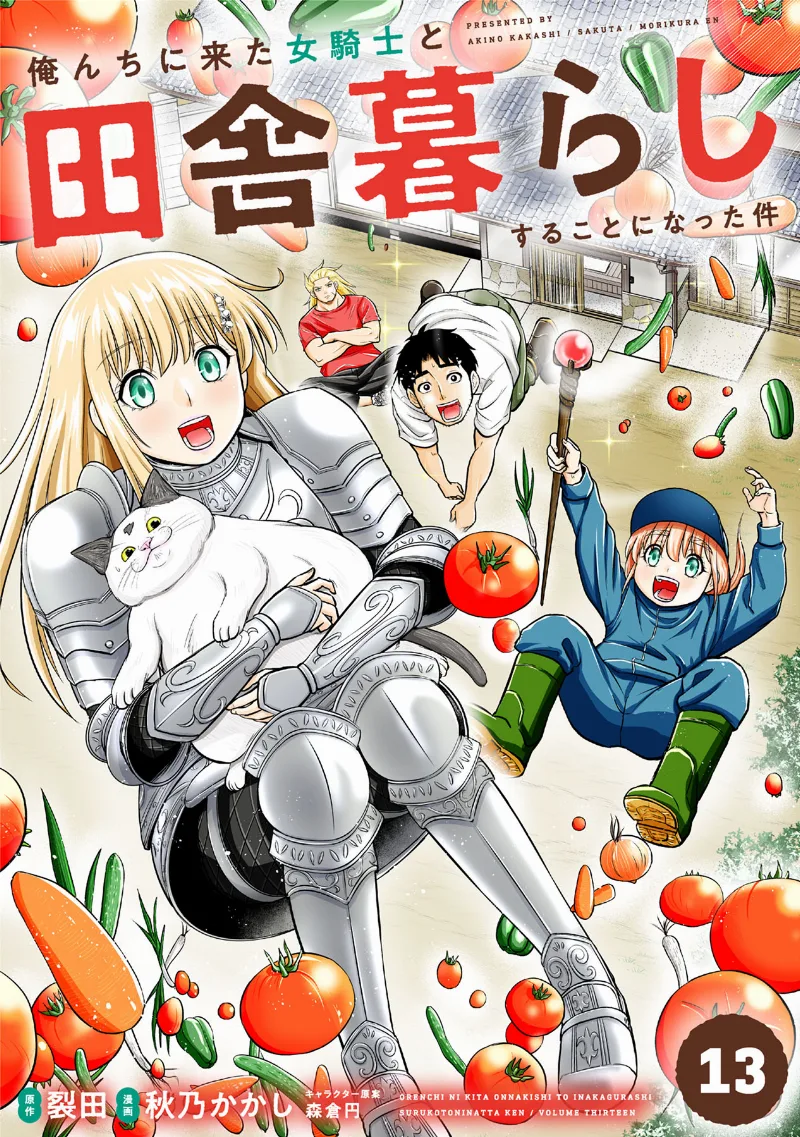 Volume 13