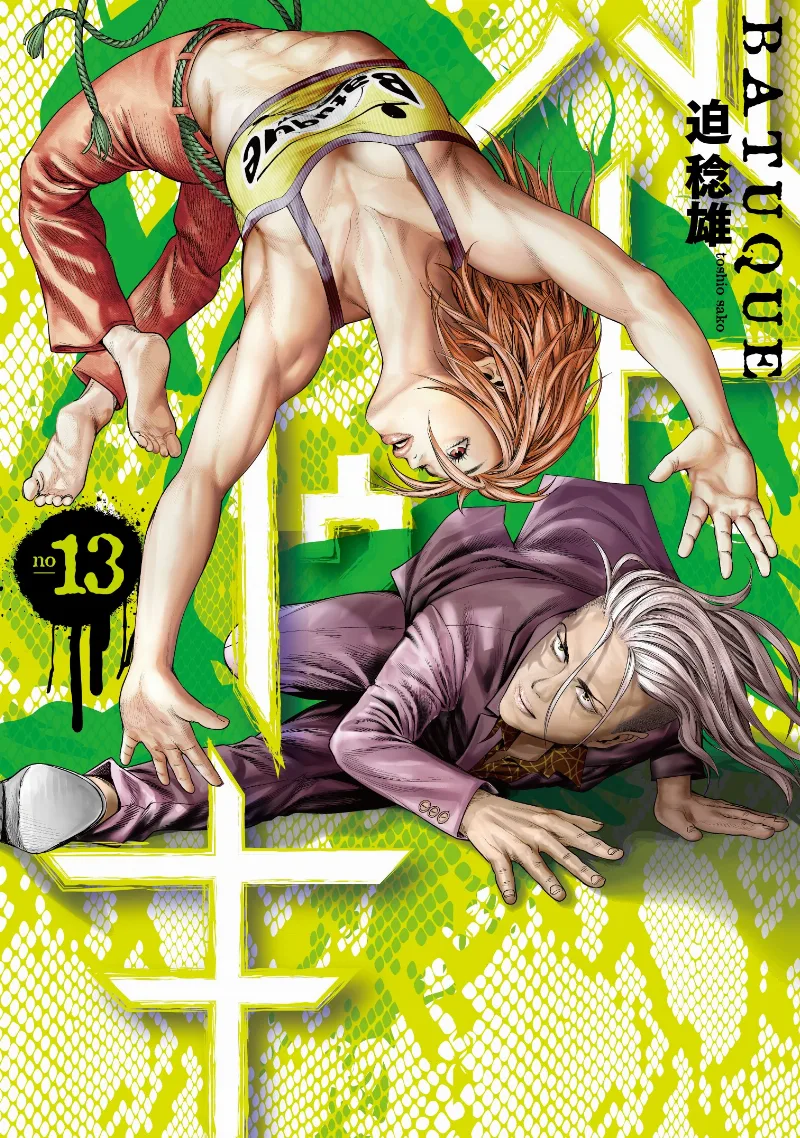 Volume 13